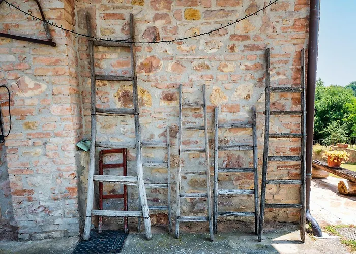 Girasole - FoglianiAgriturismo